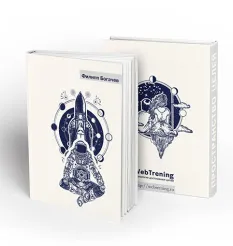Книга «Пространство целей» - программа обучения Филипп Богачёв • Bogachev • Webtrening