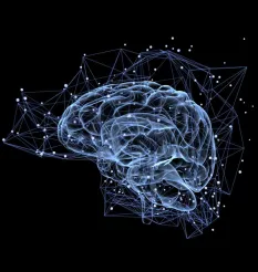 Тренинг «NeuroHacking. Активация Связей» - онлайн-курс Денис Борисов