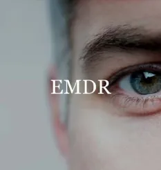 Применение метода ДПДГ (EMDR) при работе с дистанционными клиентами - программа обучения Василий Смирнов