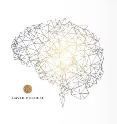 Курc «Энергия» - программа обучения Дэвид Вердези • David Verdesi