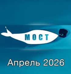 Программа «МОСТ. Апрель 2026» - программа обучения Мария Бразговская • Brazgovskaia